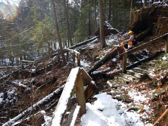 A National Park Service employee stands among fallen trees while conducting damage assessment at George W. Childs Park (National Park Service photo)