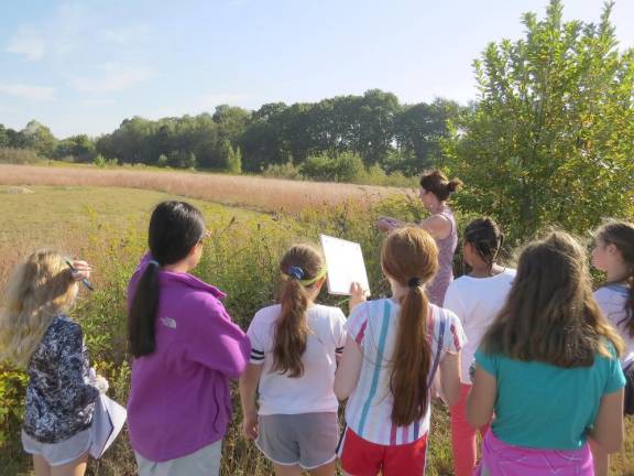 Students looked for milkweed, which provides food for monarch butterflies