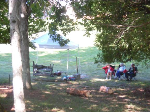 Festival of Wood promotes importance of forests Taking a break under the trees at Grey Towers grounds.