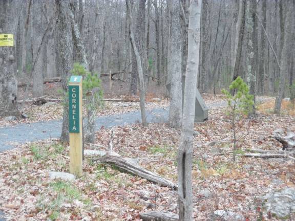 Improvements to continue at nature preserve Go hiking: A trail marker at the Cornelia and Florence Bridge Preserve (Photo by Anya Tikka)