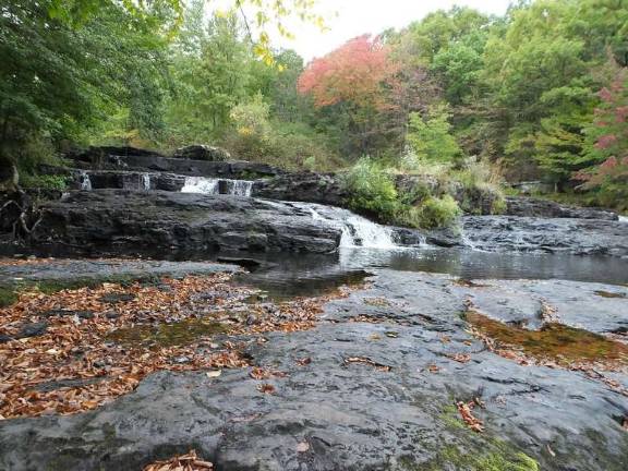 A safe walk in the woods, thanks to aspiring Eagle Scout Go hiking: Lovely Shohola Falls will be easier to get to, thanks to the Scouts and their helpers (Photo by George Leroy Hunter)