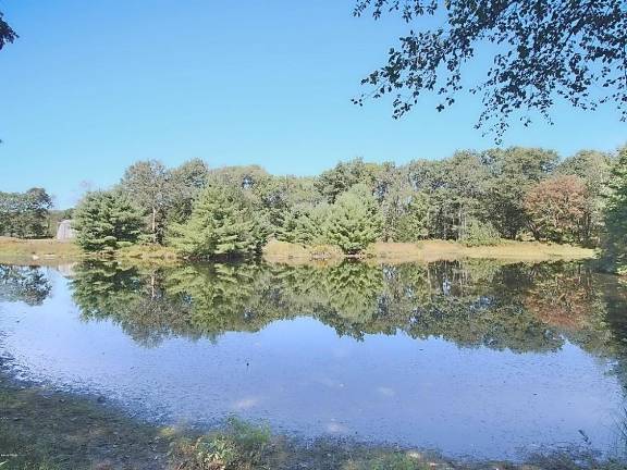 Mountaintop equestrian estate includes modern home and pond Pond