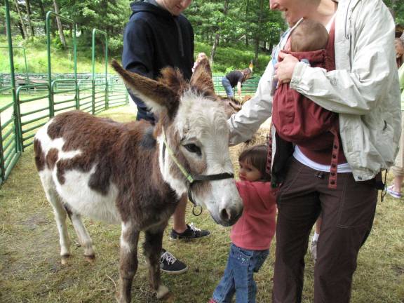 Get up close with animals Photo by Jerry Goldberg Rebecca Rand and her mother Kendra pet the Sicilian donkey at a past Farm Day.