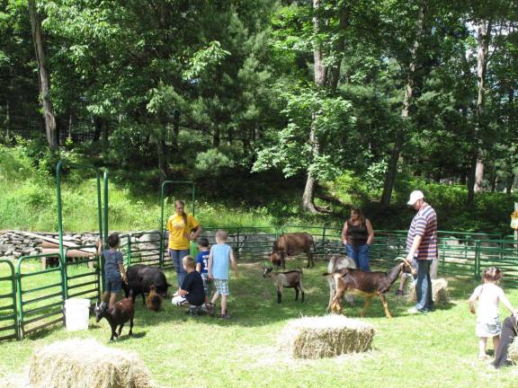 All creatures great and small The petting zoo was filled with smiling children