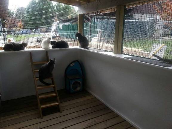 Pike County Humane Society celebrates 50th anniversary Photo by Vicki Botta The newly constructed cat porch.