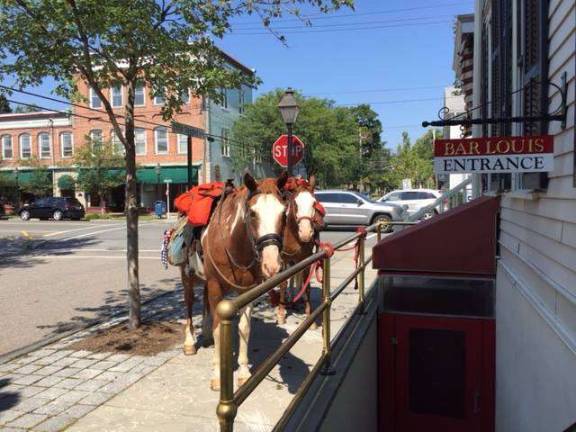 Cross-country horseback riders welcomed in Milford Jesse and Chief hang out in Milford (Photo courtesy Julio Olivencio)