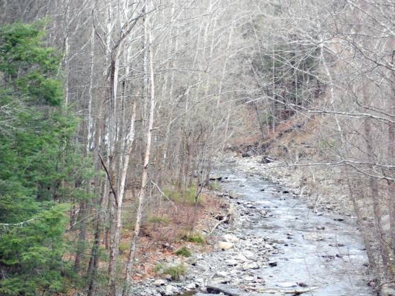 Sawkill Creek at Harford Street bridge