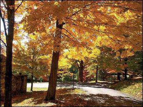 Landscape design secrets Landscape design secrets