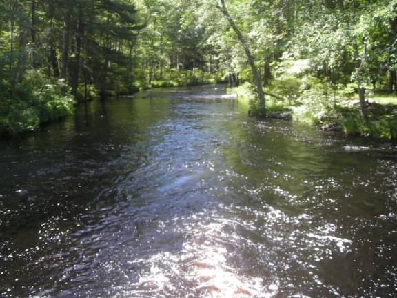 Delaware Highlands Conservancy receives federal grant Little Bushkill Creek