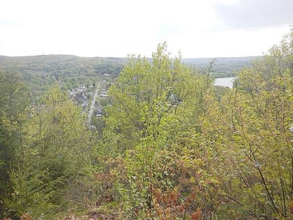 Before the clearing, overgrown Milford Knob obscured the view