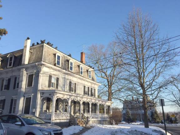 Vultures roosting on a house at the corner of Fletcher Street and Golden Hill Avenue in the Village of Goshen.