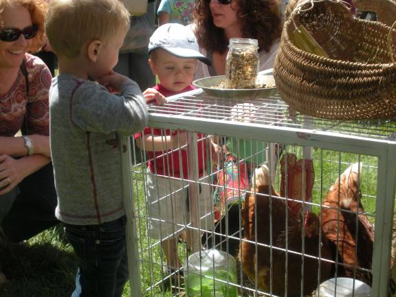 Fresh, local goods a plenty Photos by Mary Caraballo James Rowell and Carter McCann feed the chickens.