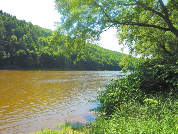 The Delaware River facing Pike County (Photo by Pamela Chergotis)