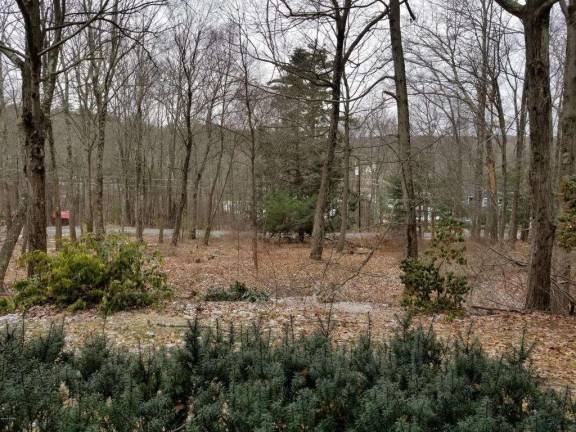 A stone-front colonial nestled in the woods A stone-front colonial nestled in the woods