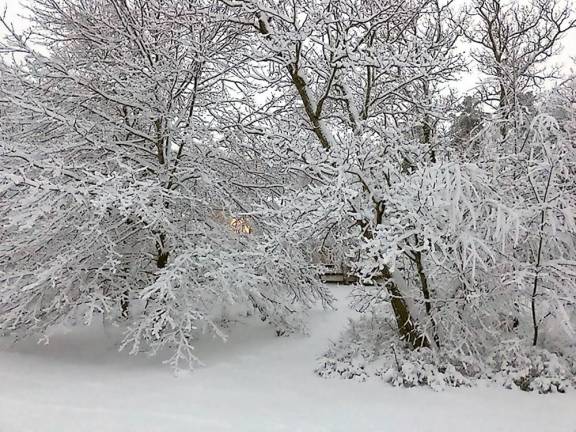 Light from a house off Log Tavern Road in Milford, created a pretty scene the evening of the Dec. 2 snowfall.