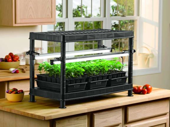 Simple steps to seed starting success Photo credit: Gardener's Supply Company Increase success and encourage even growth by growing seedlings under artificial lights.