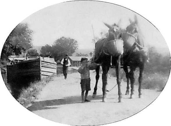 Children, like this child along the D&amp;H Canal, were responsible for taking care of the mules, which pulled the canal boats by means of a rope attached to their harness.