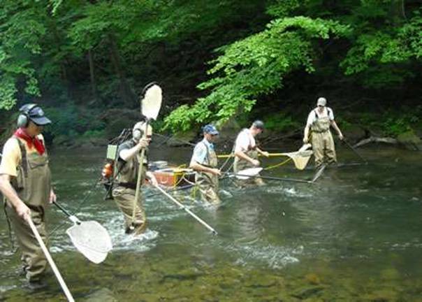 Tell Senator Casey to build on drinking water victory State biologists doing a trout survey on Bushkill Creek (Photo: Pennsylvania Fish and Boat Commission: http://fishandboat.com)
