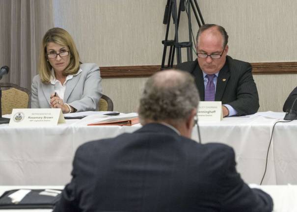 Policy committees wrap up opioid crisis discussions PA State Rep. Rosemary Brown (Photo provided)