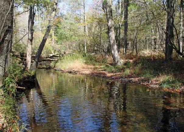 Brodhead Watershed Association welcomes 10 new board members Photo: brodheadwatershed.org