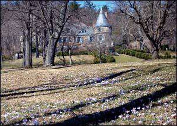 Saturday is spring Saturday is spring
