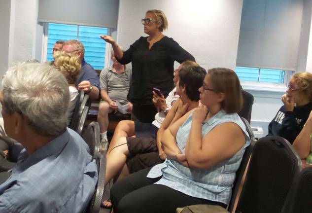 Business owners: Must life be so hard? Amy Eisenberg (standing) of Milford Craft Show Boutique tells the council that the borough is not business friendly. (Photo by Frances Ruth Harris)