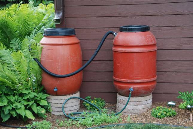 Water wisely for a beautiful garden and landscape Melinda Myers, LLC Collecting rain in rain barrels when it is plentiful and storing it until it is needed is an effective way to manage water for the landscape.