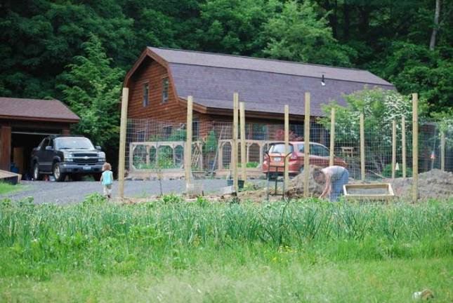 Nominate your killer garden A Sugar Loaf local nominates their garden.