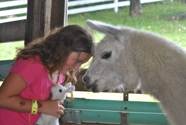 Up close and personal with llamas Photos by Anya Tikka Dakota Steele, 10, from Milford touches her head with a friendly llama. Lowering your head so the llamas can smell your hair is a way for them to get to know, explained Wendy Kaplan who was giving the tour.