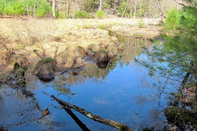 Aquifer/wetlands close to the I84 East ramp to Rt.6.