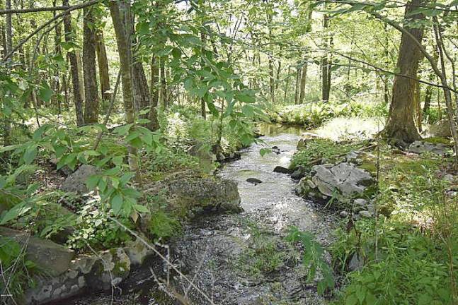Spacious four-bedroom with pond and stream Stream