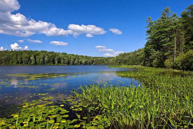 Nature Fest to be held Photo: Drexel University Lacawac Sanctuary.