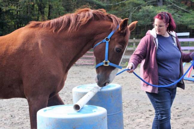 Veteran Becky Bloomer and a GAIT horse partner through an obstacle course.