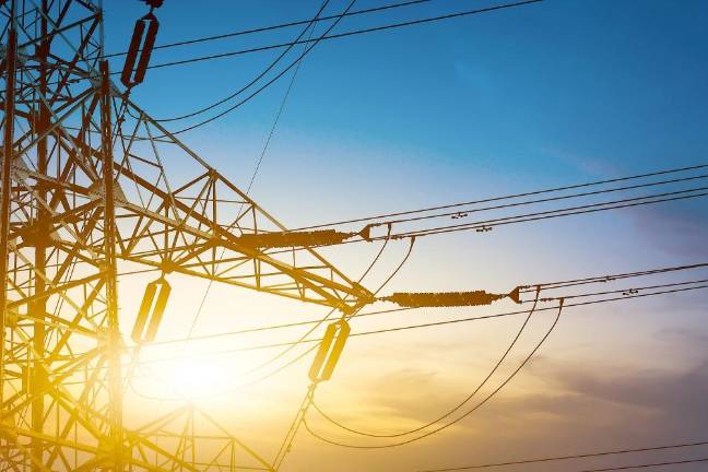 Officials target electrocution as leading bald eagle killer Officials target electrocution as leading bald eagle killer