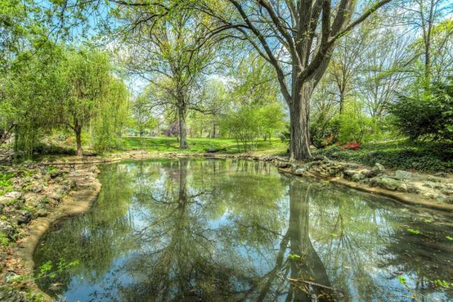 Dingmans Ferry. Twilight Pond Walk, talk on June 21