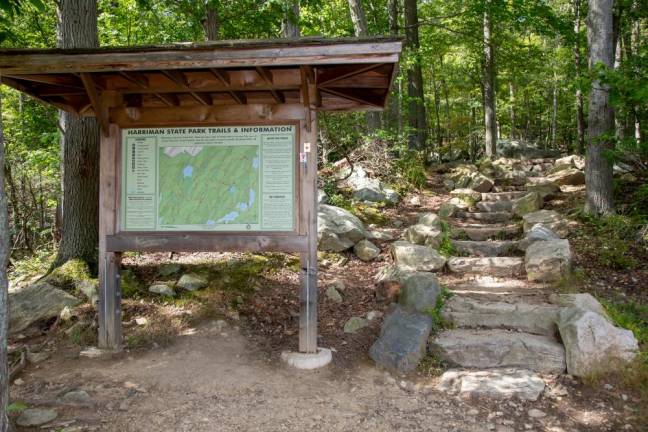 Local summer activities that won’t break the bank <b>Harriman State Park, Harriman, NY. Photo by Sammie Finch</b>