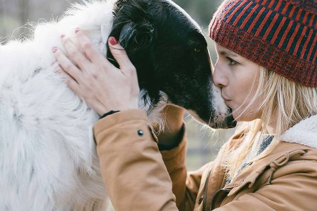 At some colleges, no need to be separated from a beloved pet At some colleges, no need to be separated from a beloved pet