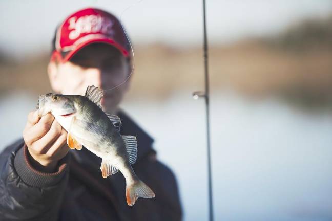 Angler licenses won't be flapping in the wind under new rule