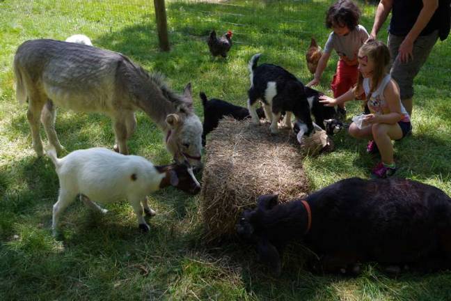 A Day at Country Ark Farm Photos by George LeRoy Hunter Far right five year old Hailey Gummerson of Pike County pets a baby goat.