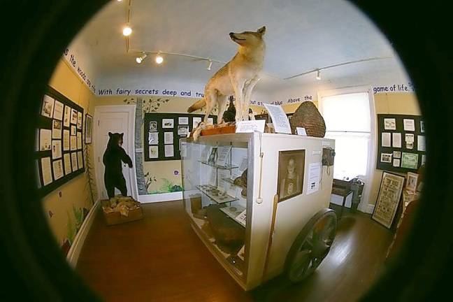 Museum to host spooky private tours for Halloween A room in the Columns Museum (Photo provided)