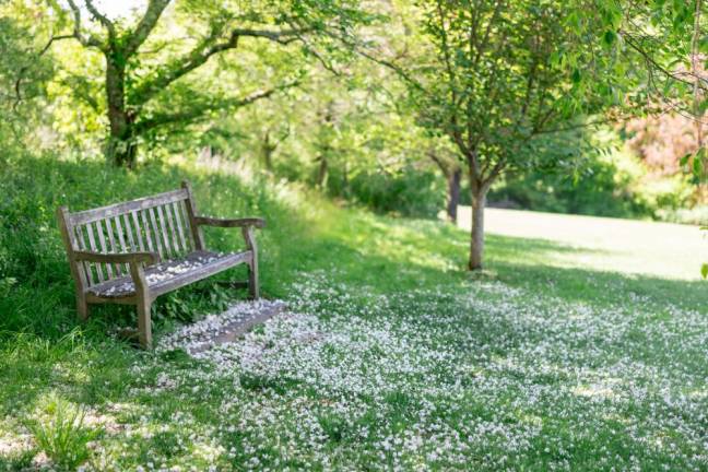Local summer activities that won’t break the bank <b>NJ Botanical Gardens, Ringwood State Park, Ringwood, NJ. Photo by Sammie Finch </b>