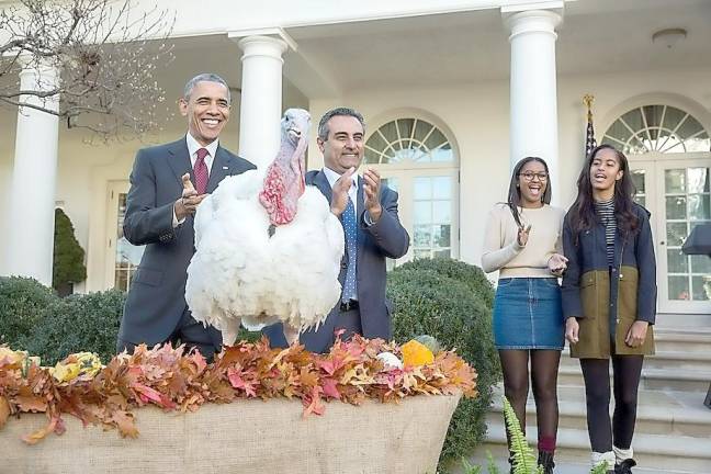 President Obama's final turkey pardon, 2016