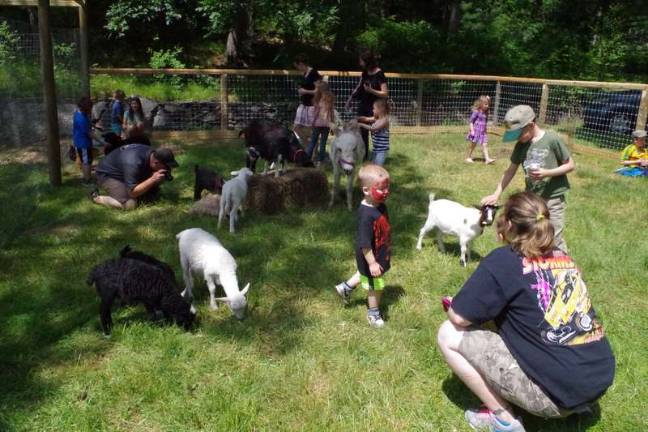 A Day at Country Ark Farm Adults and children enjoy interacting with the farm animals.