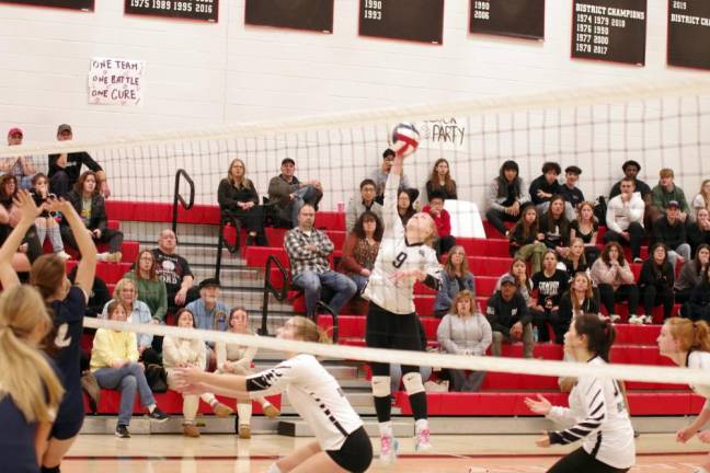 Delaware Valley's Shealey Hughes gets a hand on the ball.