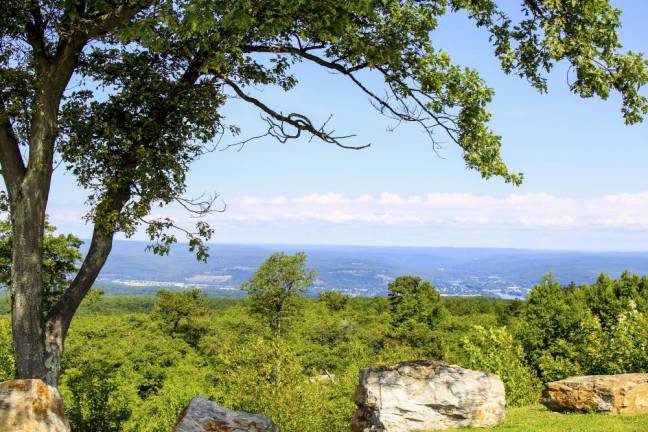 Local summer activities that won’t break the bank <b>High Point State Park, Sussex, NJ. Photo by Sammie Finch</b>