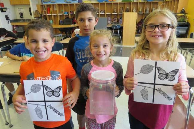 If you see their butterflies, wave goodbye Justin Santiago, Chris Stamiello, Juliet Lee, and McKenna Mann count down the days until an adult butterfly emerges from its chrysalis in their third grade classroom (Photo by Peg Snure)