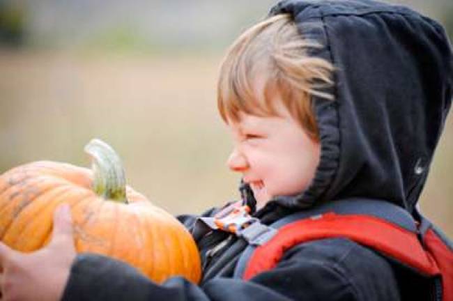 Family Fall Festival coming to Dingmans Ferry Family Fall Festival coming to Dingmans Ferry