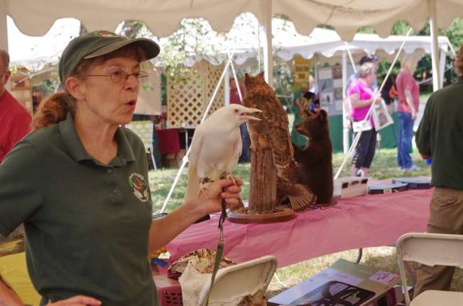 Einstein, an albino crow who lives at the Pocono Wildlife Rehabilitation and Education Center booth, was a popular attraction. The lack of pigment in his feathers makes them very brittle. They tend to break and crumble, making Einstein unable to survive in the wild.