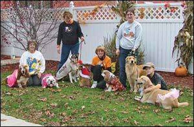 Tricks for treats Tricks for treats