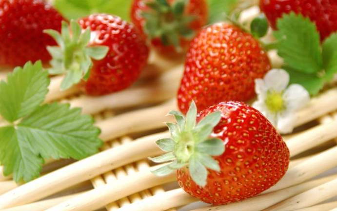 What's Fresh: Farmers' Markets What's Fresh: Farmers' Markets